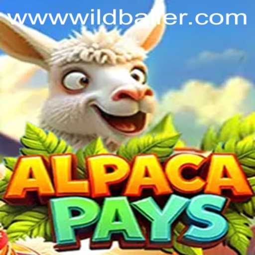 Exploring AlpacaPays at WildBaller Casino