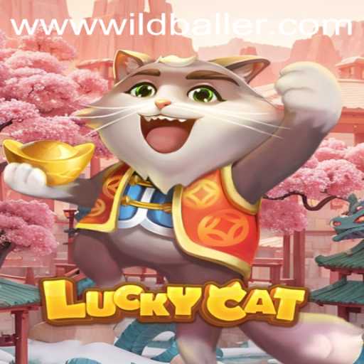 Discover the Exciting World of LuckyCat: A New Gem at WildBaller Casino